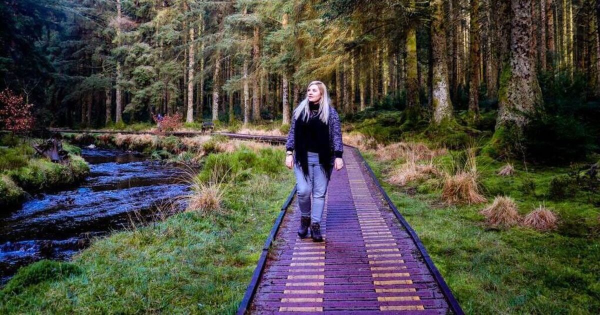 UK's best 10 autumn walks unveiled and one is a beloved leafy forest trail